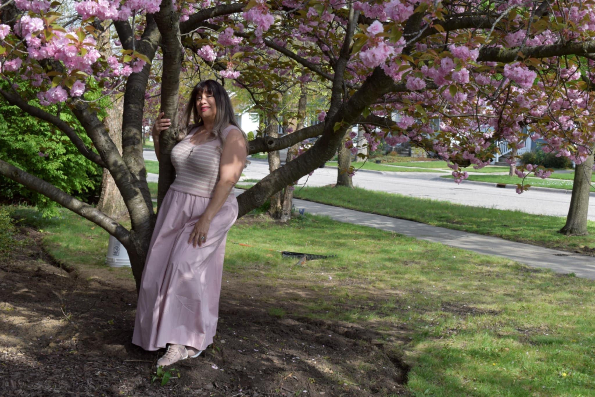 Iris leaning against cherry blossom tree